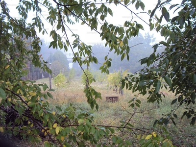 Eladó lakóövezeti telek - Székesfehérvár, Öreghegy