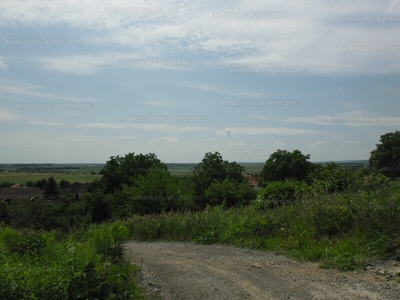 Eladó lakóövezeti telek - Szekszárd, Szőlőhegy