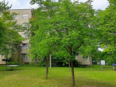 Eladó panel lakás - XVII. kerület, Újlak utca 2-20.