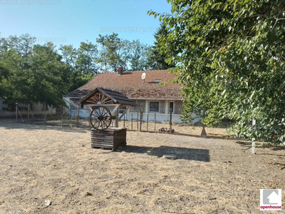Eladó tanya - Sándorfalva, Csongrád-Csanád megye