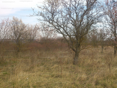 Eladó termőföld, szántó - Balatonalmádi, Lozsánta