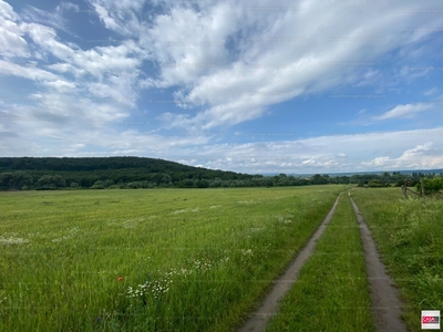 Eladó termőföld, szántó - Fertőrákos, Győr-Moson-Sopron megye