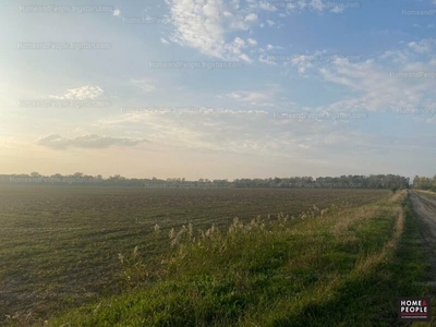 Eladó termőföld, szántó - Hódmezővásárhely, Csongrád-Csanád megye