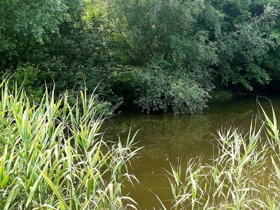 Eladó üdülőövezeti telek - Kaposvár, Ivánfahegy