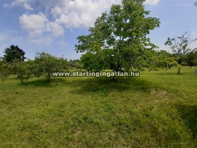 Felsõ-Rákoshegy, Budapest, ingatlan, mezőgazd. ingatlan, 15.600.000 Ft