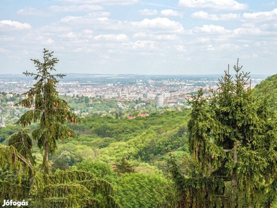 Igazi kuriózum,anorámás 3 szobás, nagy teraszos, felújított, garázsos - XII. kerület, Budapest - Lakás