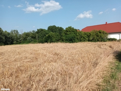 Külterületi telek 900nöl - Sári, Dabas, Pest - Egyéb