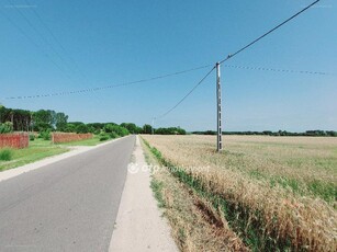 Csemő, ingatlan, mezőgazd. ingatlan, 124918 m2, 27.900.000 Ft