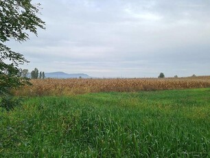 Dunakeszi, ingatlan, mezőgazd. ingatlan, 7013 m2, 28.000.000 Ft