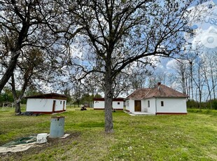 Kecskemét, ingatlan, mezőgazd. ingatlan, 4316 m2, 52.990.000 Ft