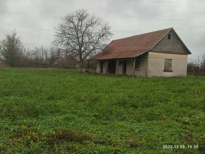 Eladó általános mezőgazdasági ingatlan - Alattyán, Jász-Nagykun-Szolnok megye