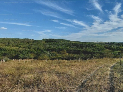 Eladó általános mezőgazdasági ingatlan - Kötcse, Somogy megye