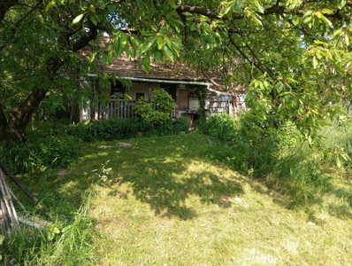 Eladó egyéb telek - Komló, Palánták dűlő