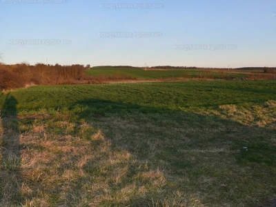 Eladó lakóövezeti telek - Nagykanizsa, Alkotmány út