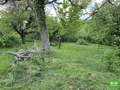 Eladó lakóövezeti telek - Pécs, Alsógyükési út