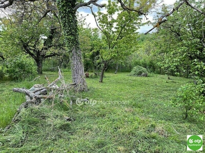 Eladó lakóövezeti telek - Pécs, Baranya megye