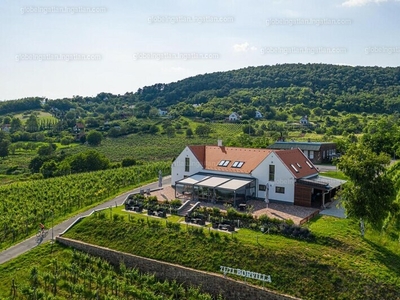 Eladó szálloda, hotel, panzió - Balatonrendes, Veszprém megye