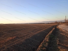 Sárszentmihály, ingatlan, mezőgazd. ingatlan, 66652 m2, 62.500.000 Ft