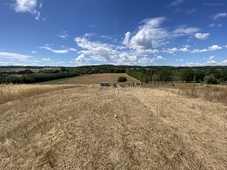 Vácduka, ingatlan, mezőgazd. ingatlan, 36716 m2, 89.900.000 Ft