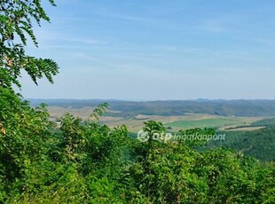 Eladó mezogazdasagi ingatlan Cered