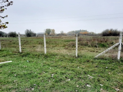 Vecsés, ingatlan, mezőgazd. ingatlan, 16000 m2, 64.000.000 Ft