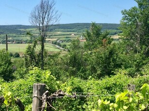 Eladó mezogazdasagi ingatlan Balatoncsicsó