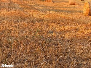 Balatonszabadiban mezőgazdasági telek eladó