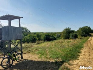 Kötcsei mezőgazdasági terület eladó!