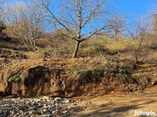 Pécs-Mecsekoldal összközműves építési telek eladó!