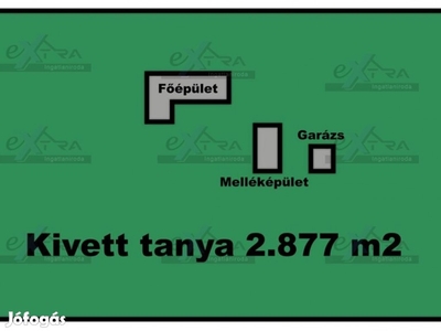 Domaszéken, közel a Zöldfás Templomhoz, Tanya, épületekkel Eladó!