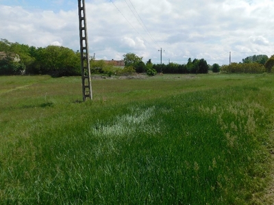 Szeged, ingatlan, mezőgazd. ingatlan, 24458 m2, 10.000.000 Ft