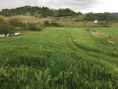 Varbó, ingatlan, telek, 6.000.000 Ft