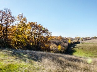 Szentkirályszabadja, ingatlan, üzleti ingatlan, 11184 m2, 100.000.000 Ft