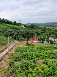 Eladó jó állapotú nyaraló - Zalaegerszeg