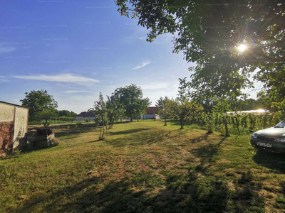 Eladó lakóövezeti telek - Pázmánd, Tulipán utca 19.