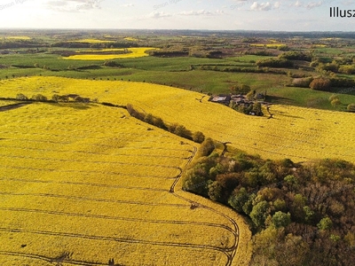 Miklóstelep, Kecskemét, ingatlan, ház, 50 m2, 15.900.000 Ft