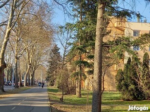 Központi, egyetemközeli téglalakás Zalaegerszegen