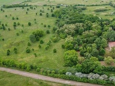 Eladó tanya - Hencida, Kődombtanya