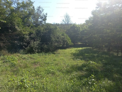 Eladó termőföld, szántó - Balatonkenese, Veszprém megye