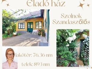 Eladó családi ház - Szolnok, Szandaszőlős