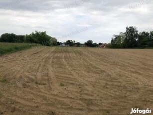 Nyíregyháza- Borbánya építési telek eladó