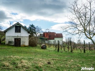 Pince a Balaton szomszédságában