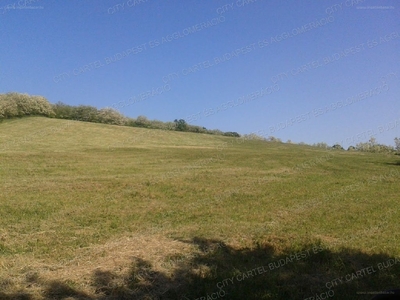 Salgótarján, ingatlan, mezőgazd. ingatlan, 94689 m2, 37.381.189 Ft