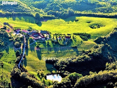 Eladó Panzió és lovastanya, Orfű