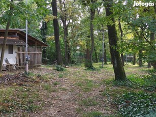 Balaton északi part, Pálköve, belterületi gyönyörű telek eladó!