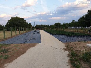 Balatonszárszói panorámás zártkerti telek