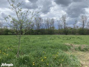 Eladó 2800 m2 építési telek, Debrecen