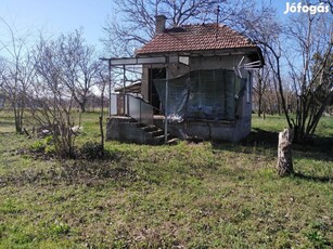 Eladó kis ház az öregszőlőben