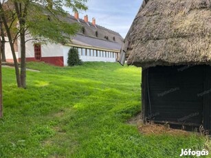 Eladó lovas birtok 16 ha területen Lajosmizse, Alsólajoson