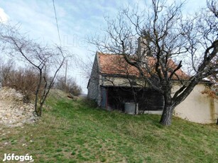 Eladó présház és panorámás telek a pécselyi szőlőhegyen